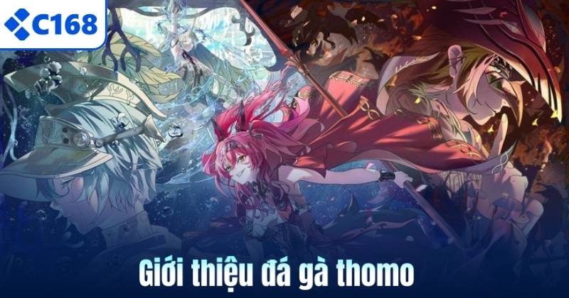 Đá Gà Thomo – Những Trận Đấu Siêu Kinh Điển Tại C168 5 Giới thiệu đá gà thomo