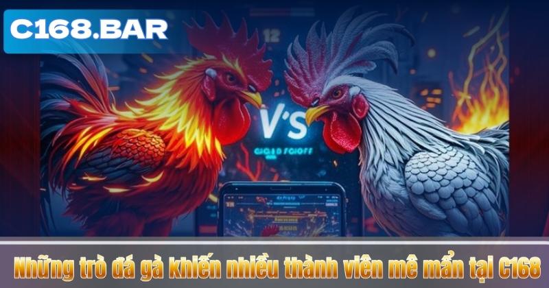 Những trò đá gà khiến nhiều thành viên mê mẩn tại C168